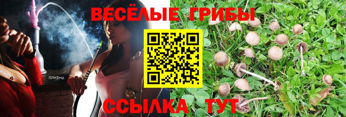 Псилоцибиновые грибы прущие грибы Димитровград