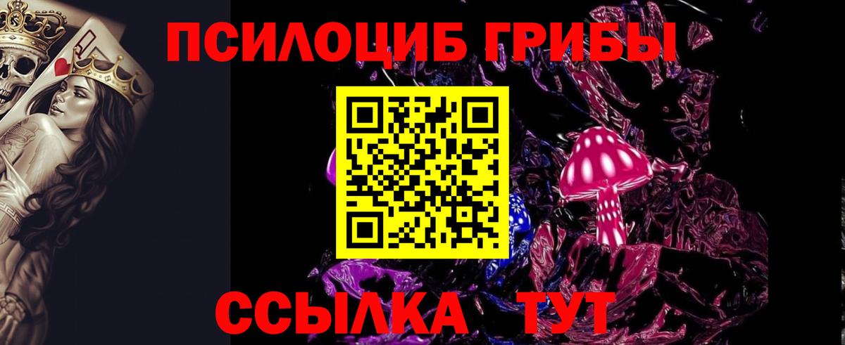 Псилоцибиновые грибы мухоморы  Вход с VPN  Димитровград 